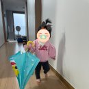 청소연구소 매니저 서비스 불만족 후기 고객센터 + 이용할때 팁
