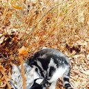 광명시민체육관 이미지