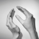 주식회사 LF 이미지