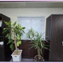 디자인창 - 안산시 상록구 용신로 205 | 디자인창