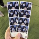 폭스브롯