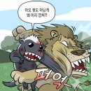 벌꿀오소리 | 벌꿀오소리 실물 보고 온 후기 (ft. 일산 아쿠아플라넷)