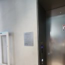 성수 분위기 좋은 조용한 카페 &lt;맥파이앤타이거 성수티룸&gt; 내돈내산 후기