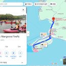 필리핀보홀 가족여행 / 아바탄강 반딧불투어 솔직한 체험후기