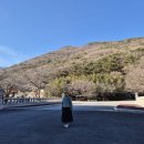 창원 의림사 삼층석탑 | 창원 마산합포구 마산9경 의림사 다녀오다.