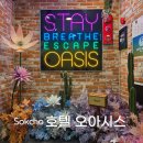 오아시스 모텔 | 속초 가성비숙소 추천 | 호텔 오아시스 실제 숙박 후기