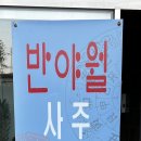 반야월사주카페