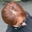 라보크헤어 답십리 사거리점 | [동대문 라보크헤어] 퍼스널컬러 진단 후 염색 후기💇‍♀️ 봄웜톤 오렌지베이지 변신✨