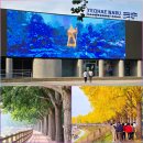 아산시 복합공영차고지 | 아산 곡교천 은행나무길 &amp; 이순신관광체험센터 여해나루 개관식
