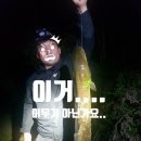 민물장어가보자 이미지