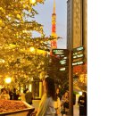 11545-11-33-15 | 아자부다이힐스 전망대 솔직후기 33층에서 보는 도쿄타워 뷰 &amp; 12월 크리스마스마켓