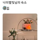 에스콘디테 이미지