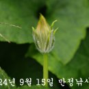 보름달을 기다리며! 이미지