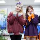 용인실내체육관 이미지