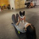 런 서울대입구 이미지