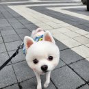 그루멍 프렌즈 이미지