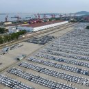 태양무역 이미지