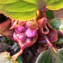 북동경로당 이미지