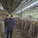 한국개량컨설팅 이미지