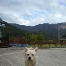 태준농장 이미지