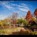 3.1.공원 이미지