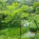 수지생태공원 이미지