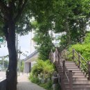 라온달미 이미지