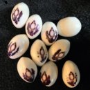 콩이야기 이미지