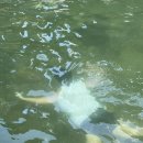 이마트24 배내골점 이미지