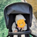 황신영 | ✍️‘부가부(Bugaboo)’, 개그우먼 황신영의 선한 영향력 [양육물품지원 후기]