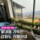 양사면-3 | 교동대교 근처 강화도 카페하네, 기대 없이 갔다가 반해버린 이유