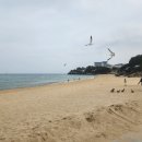 동해시-03 이미지