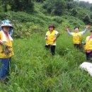 고운리농장 이미지