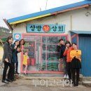 녹색의 추억 이미지