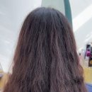 채널헤어송절지웰점 이미지