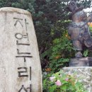 자연누리 이미지