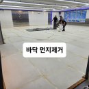 용인대체육관 이미지