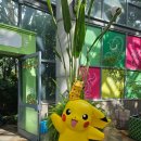 (주)중문티에스엘 | 제주 중문 포켓몬 원더 아일랜드 in JEJU 여미지식물원 주차/소요시간/포토존