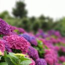 신화역사로 이미지