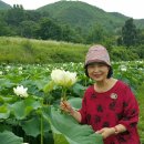 산음골 이미지