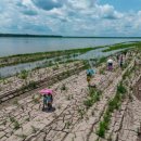 El Niño est à nos portes et l’ONU appelle à se préparer à cet accélérateur 이미지