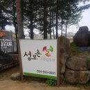 성보촌 캠핑장 이미지