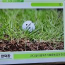 골프에반하다 잔디종류 이미지