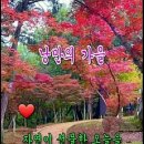 가림이힐링