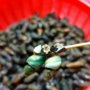 수산마켓 이미지