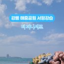 더퍼니서프 이미지