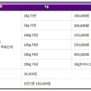 안성펫문화원 네이버블로그
