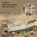 자연누리유치원 이미지