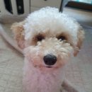 나도나도 이미지