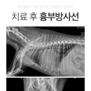 오남동물병원 이미지
